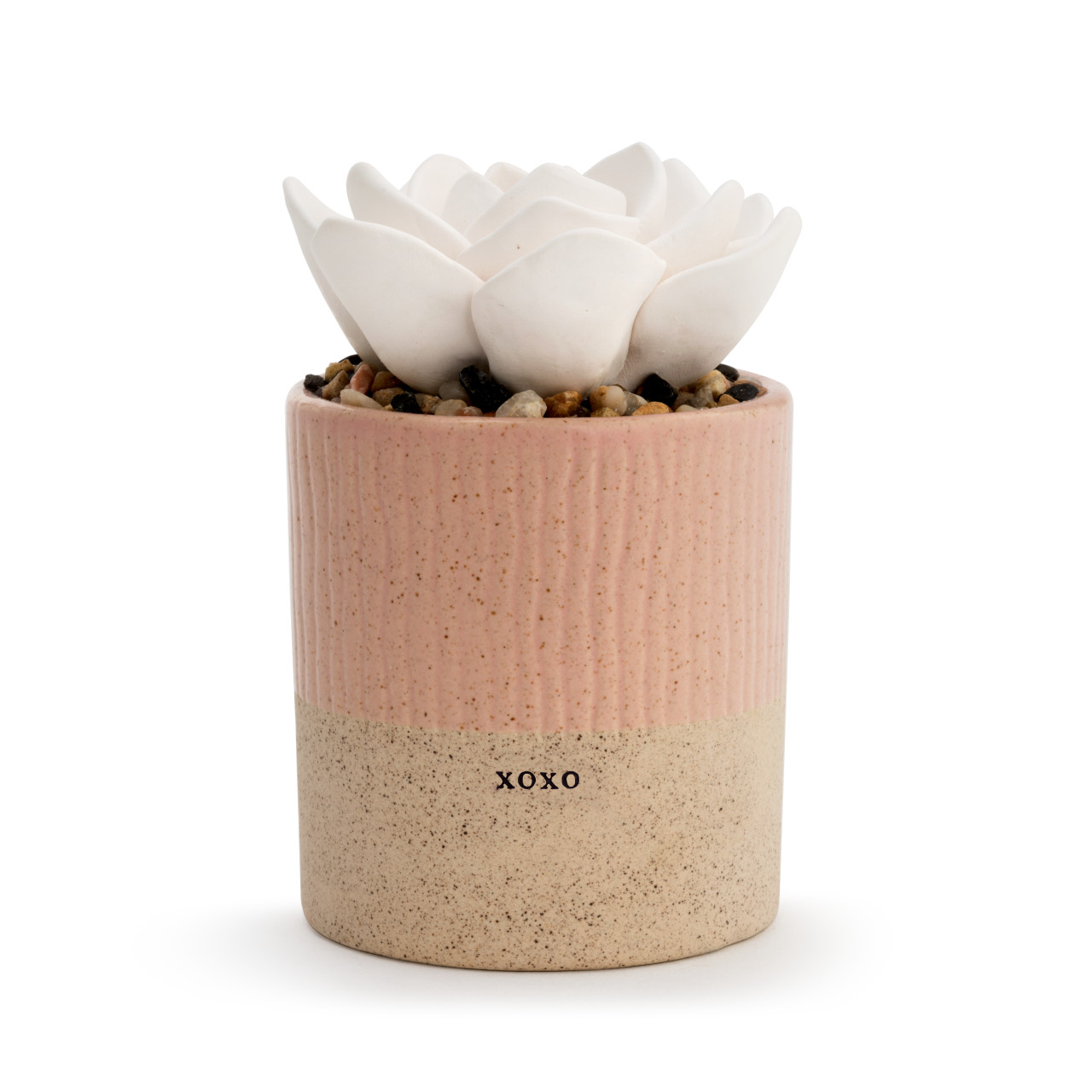 Succulent Oil Diffuser - XOXO thumbnail