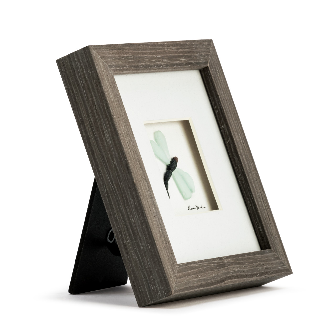 Of Life & Dragonflies Wall Art - Gray thumbnail