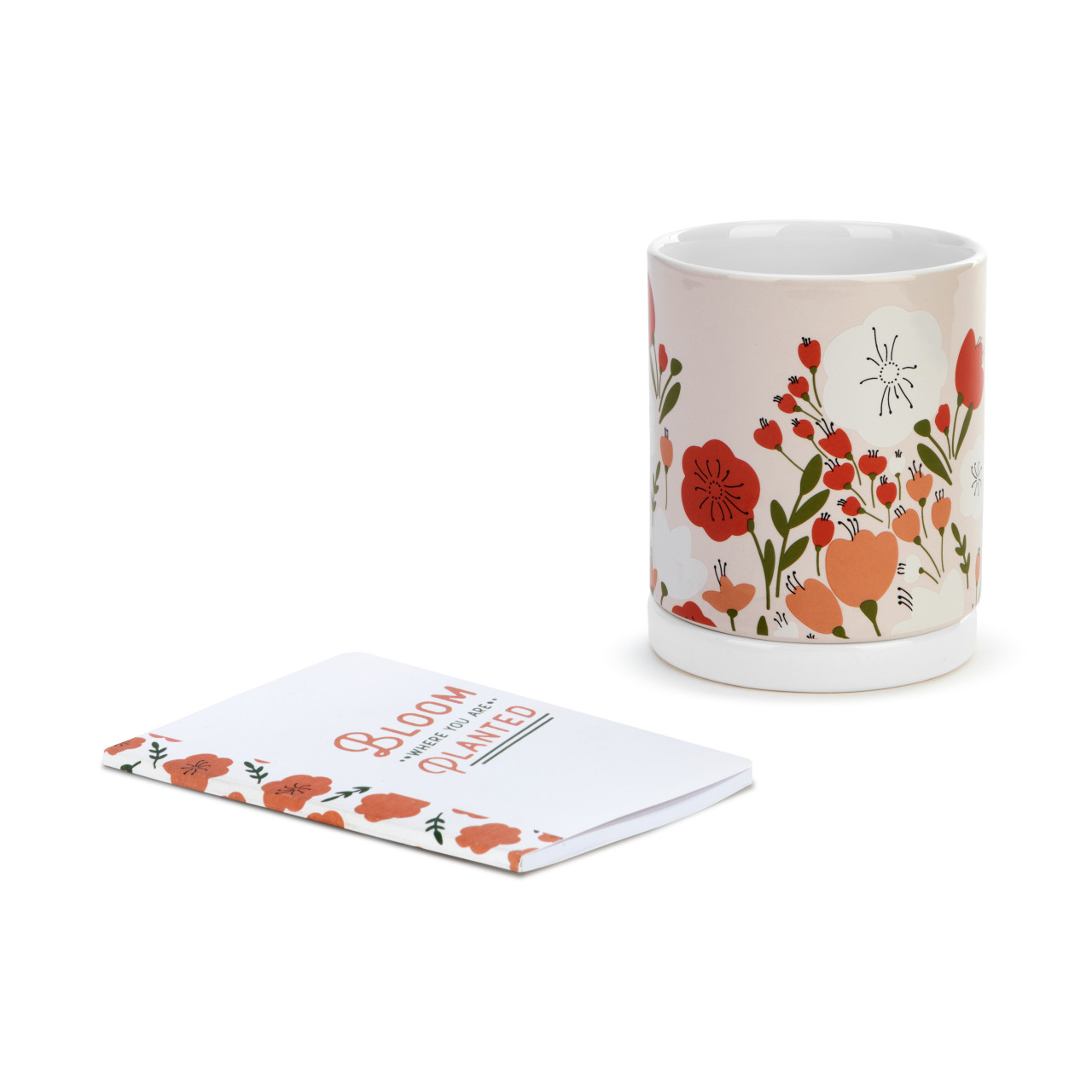 Where You Are Planter with Journal Gift Set thumbnail