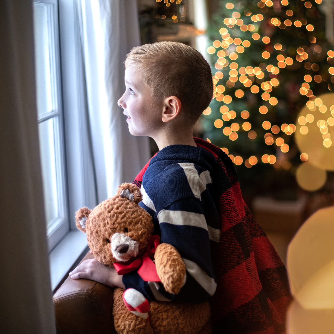 Theodore the Christmas Bear thumbnail