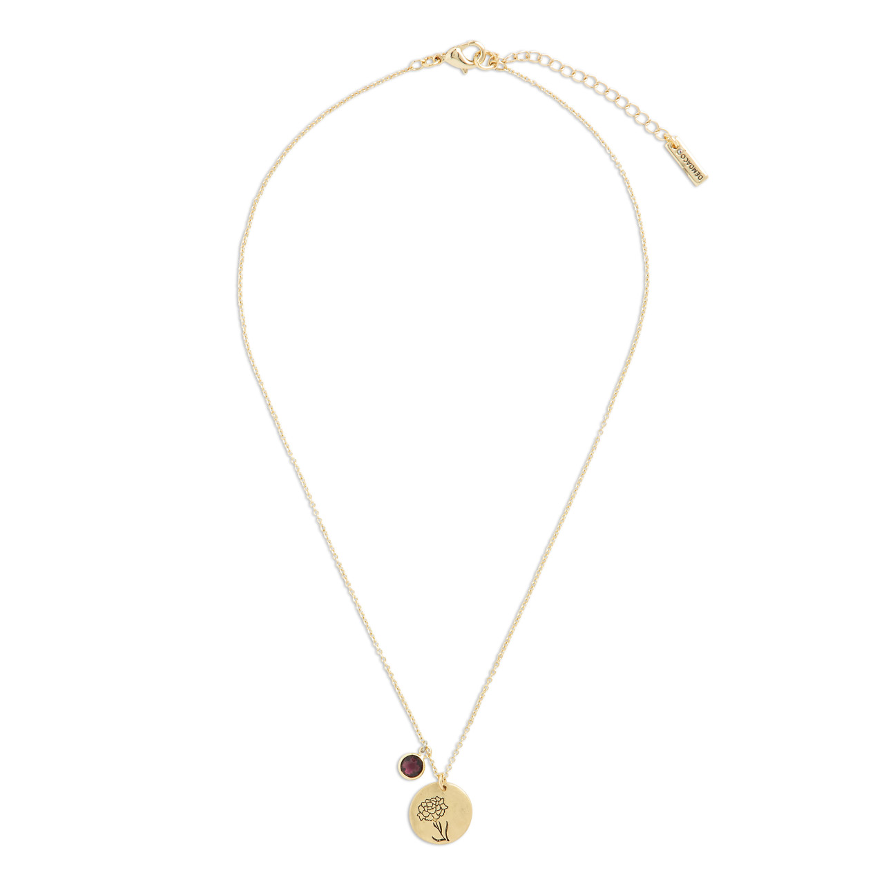 Birthstone Charm Necklace - January thumbnail