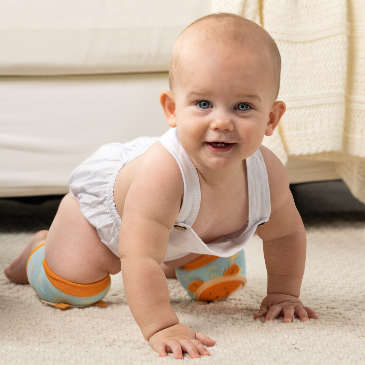 Fox Easy Kneezie thumbnail