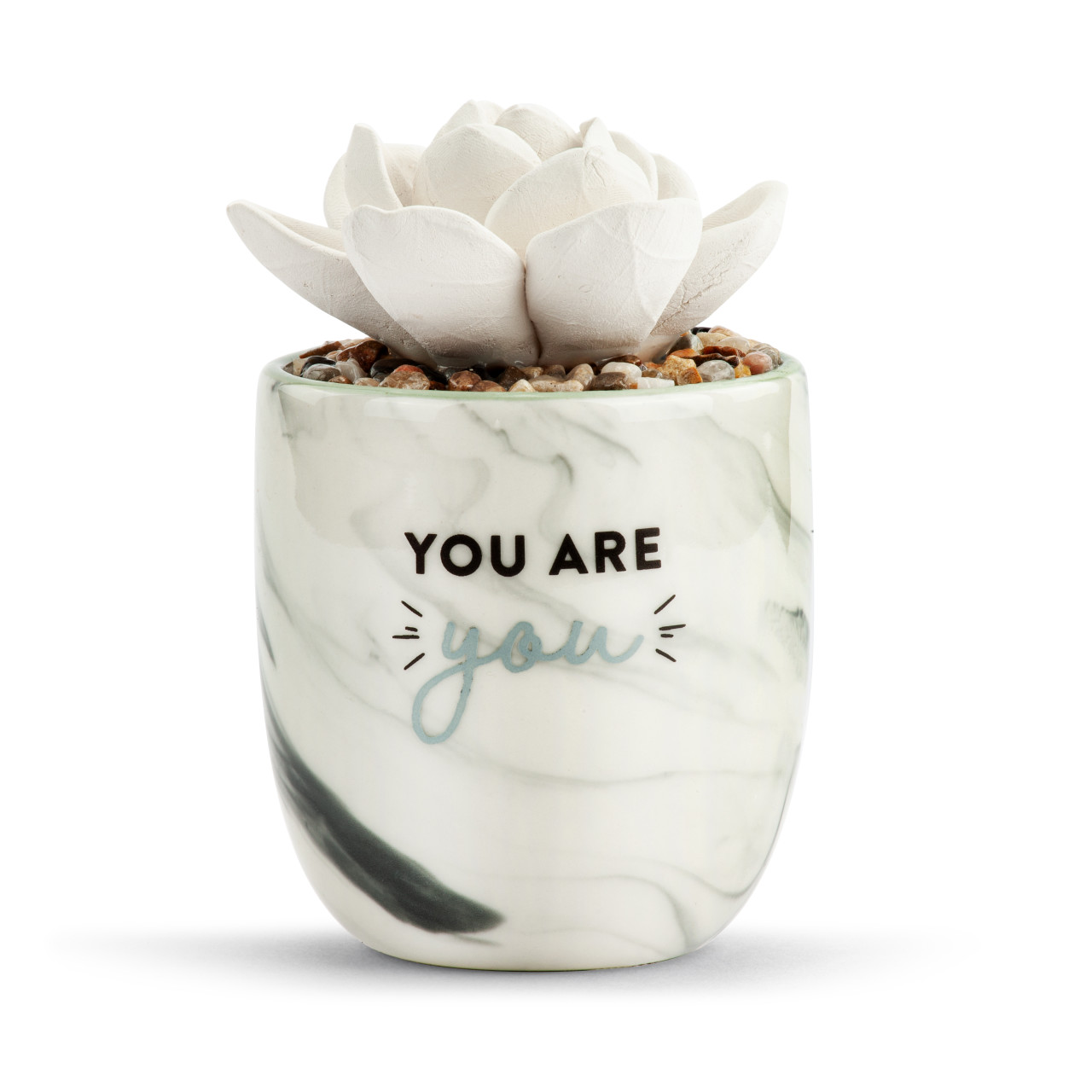 Succulent Oil Diffuser - You are You thumbnail