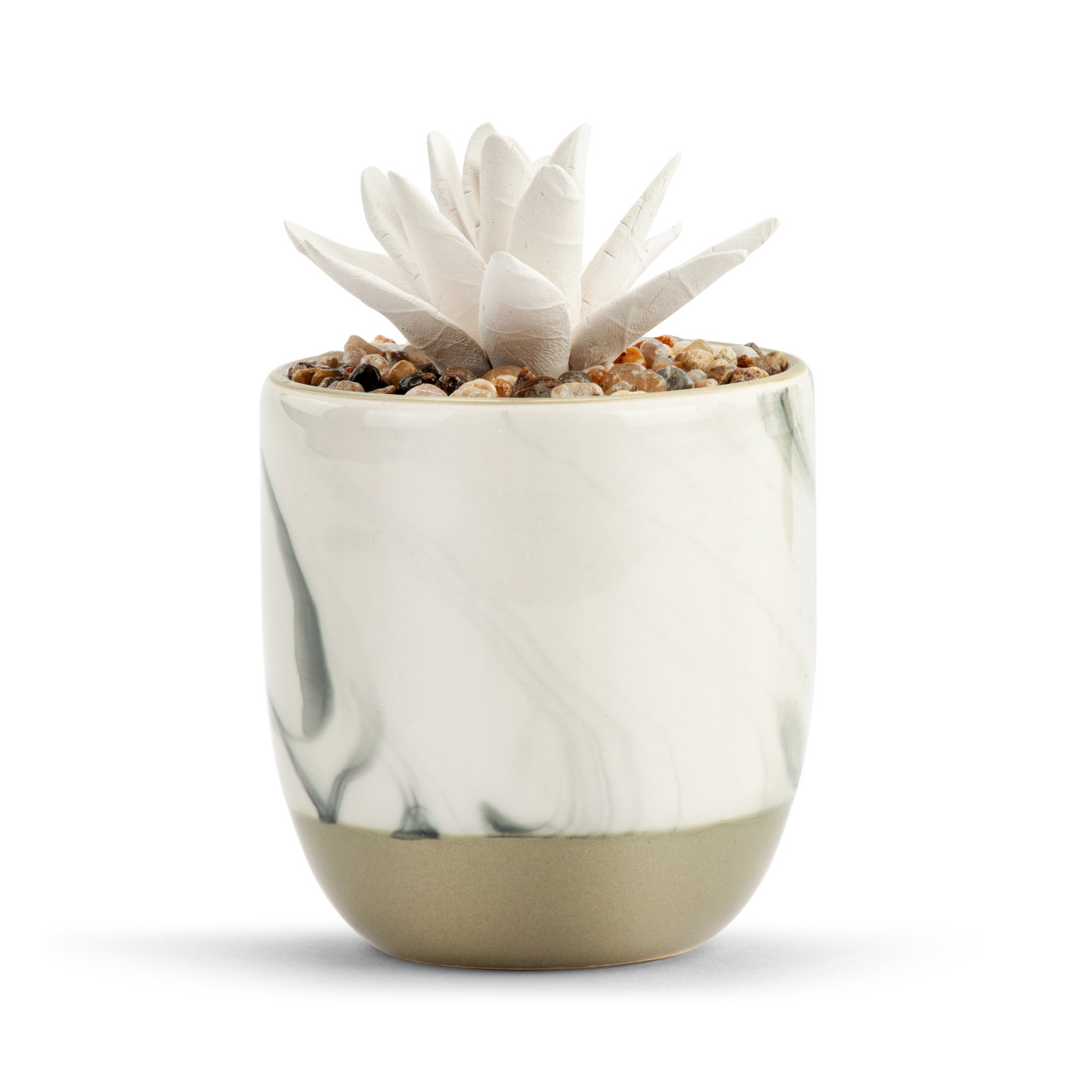 Succulent Oil Diffuser - Keep Growing thumbnail