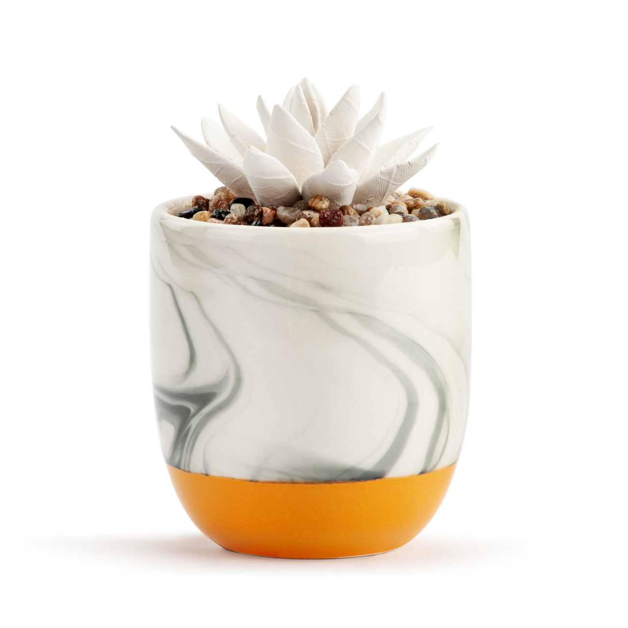 Succulent Oil Diffuser - Yes, You Can thumbnail