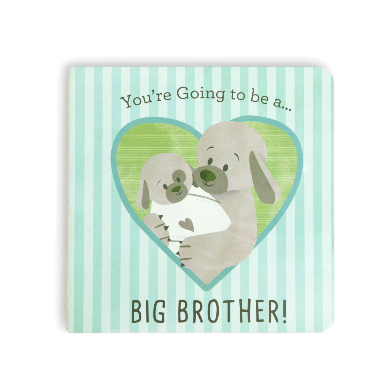You're Going To Be a Big Brother Book thumbnail