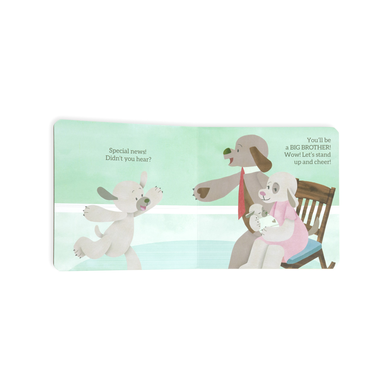 You're Going To Be a Big Brother Book thumbnail