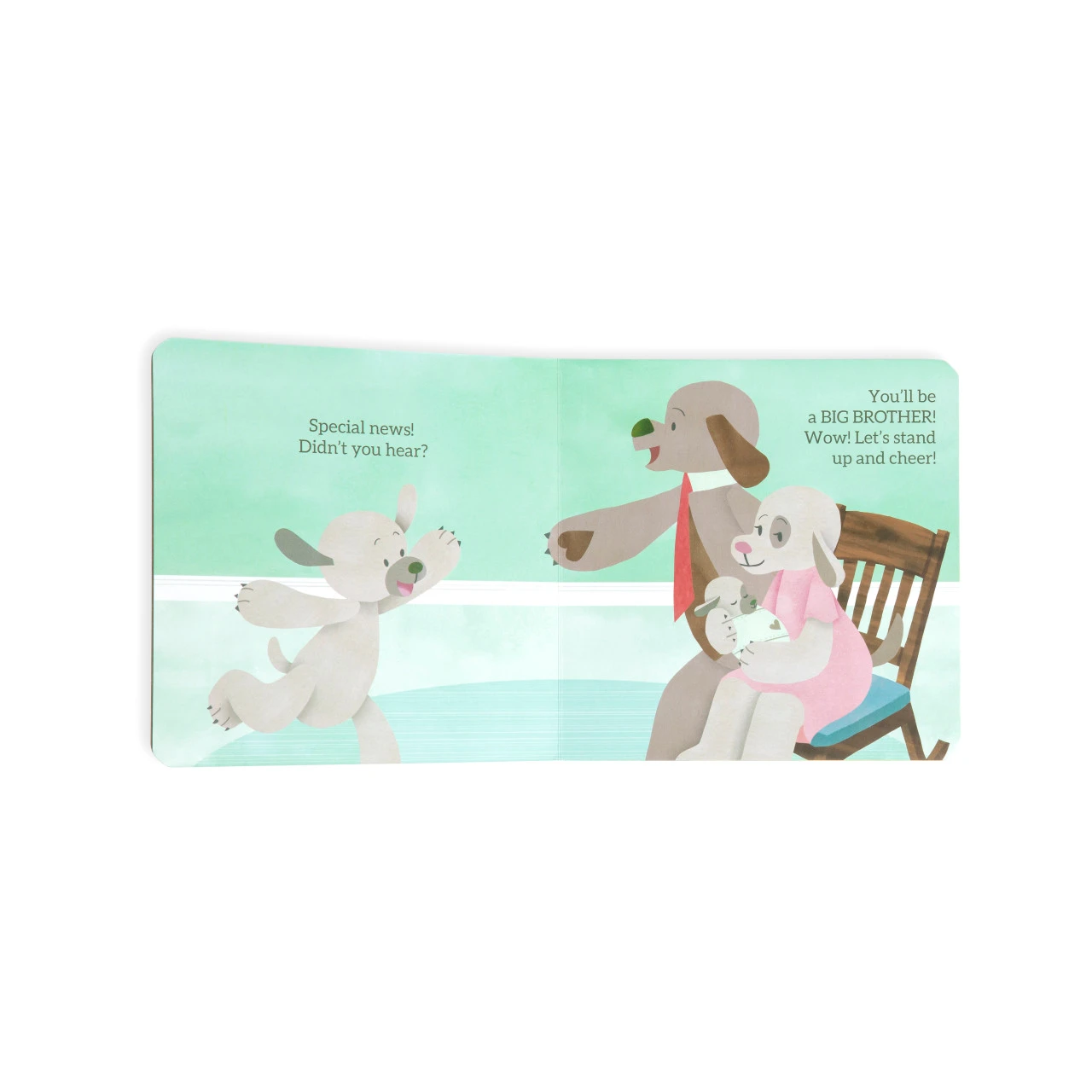 You're Going To Be a Big Brother Book thumbnail