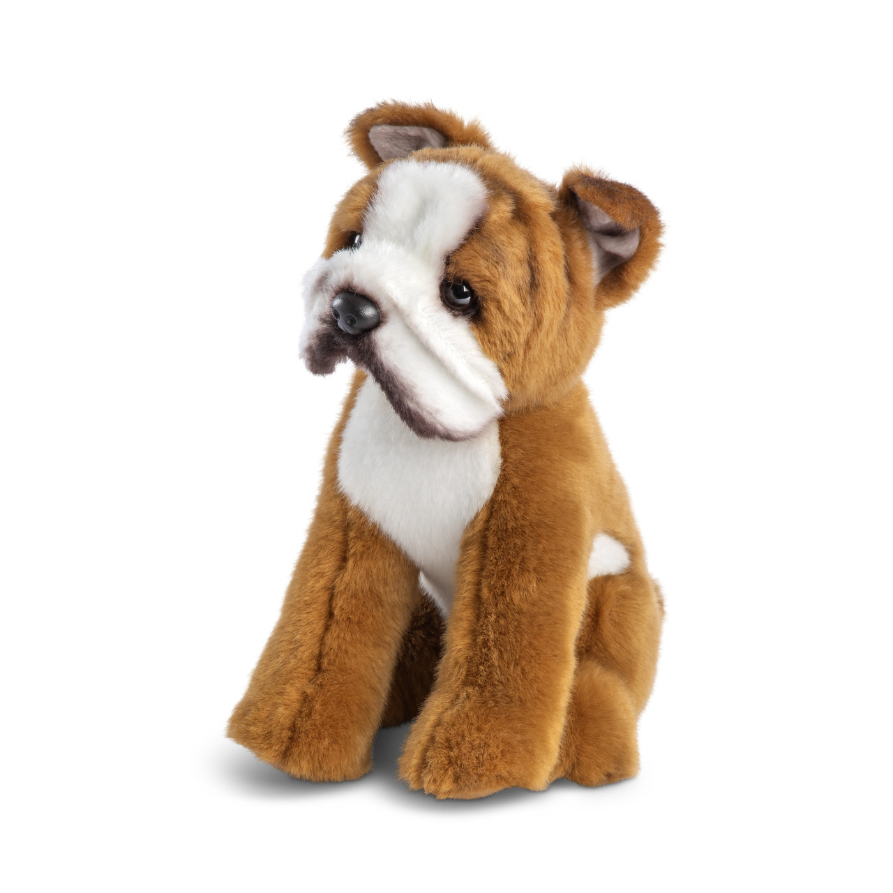 Bulldog Small thumbnail