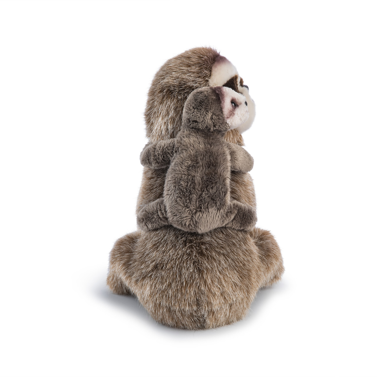Sloth and Baby thumbnail