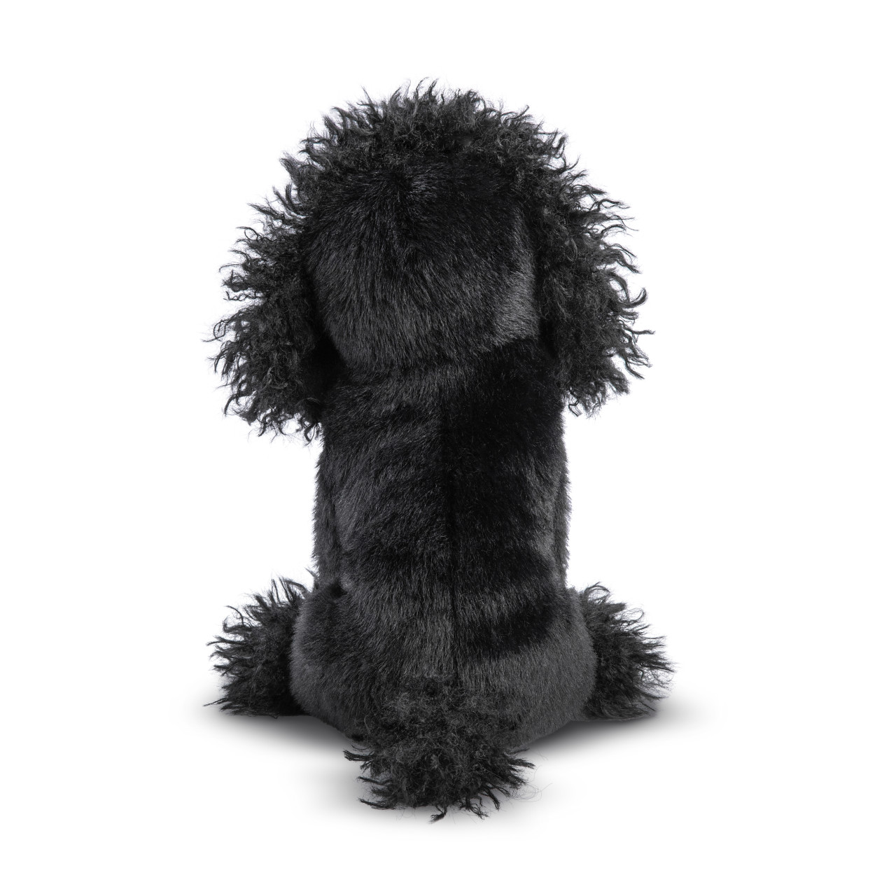 Poodle Small thumbnail