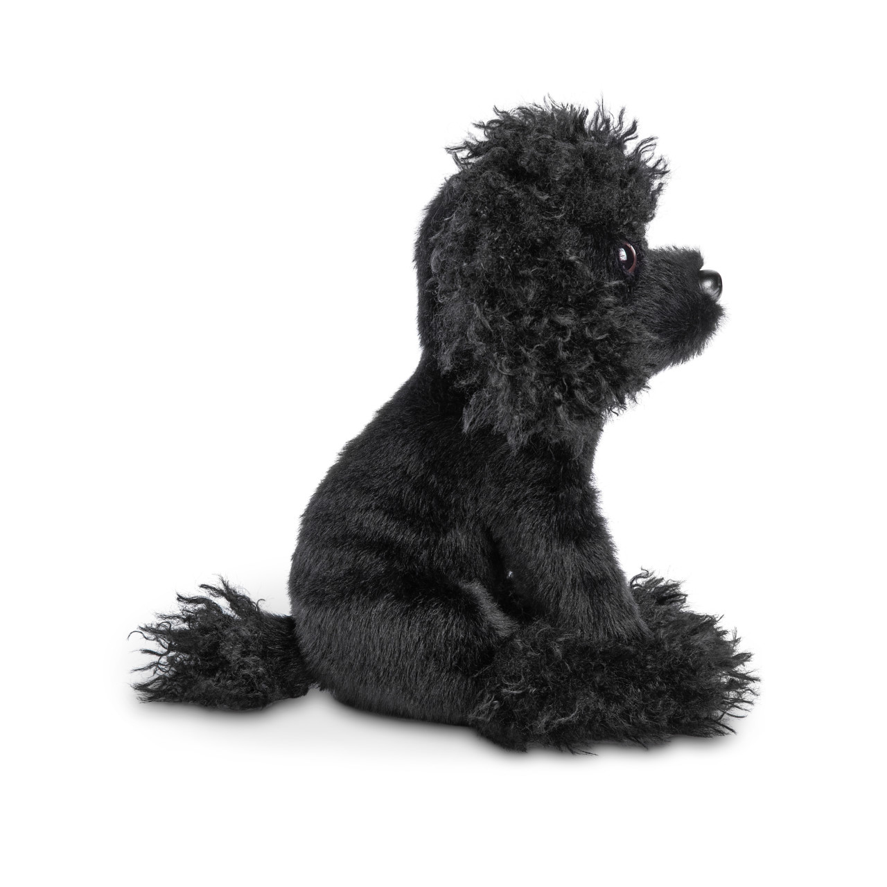 Poodle Small thumbnail