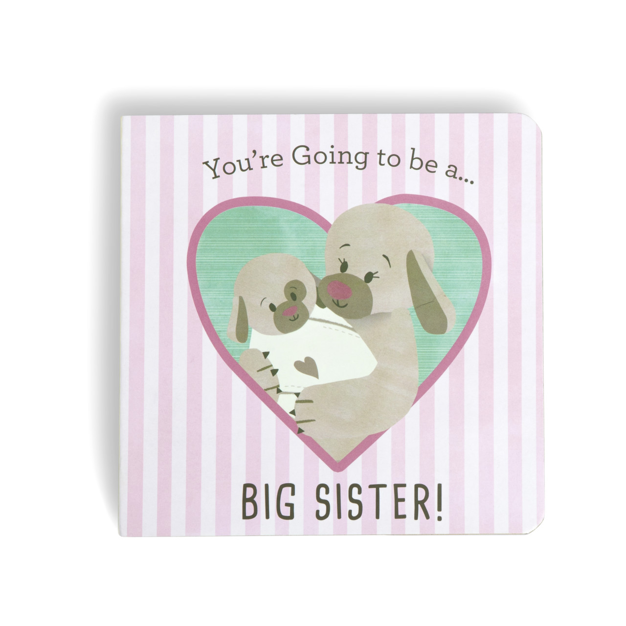 You're Going To Be a Big Sister Book thumbnail