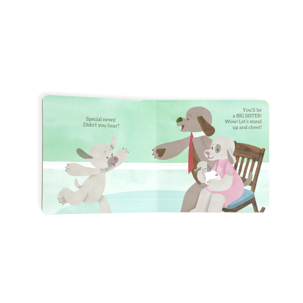 You're Going To Be a Big Sister Book thumbnail