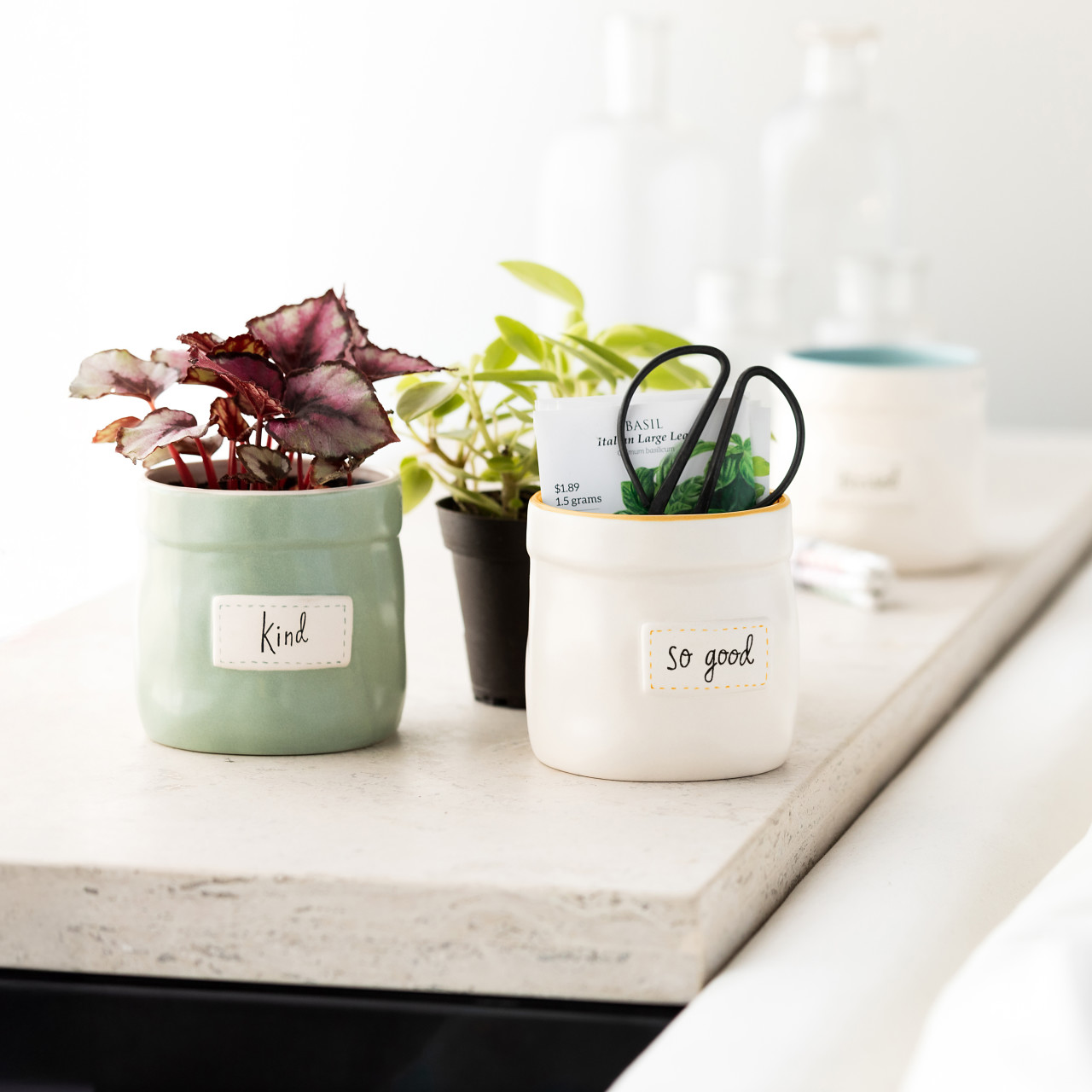 Plant Kindness Cachepot - So Good thumbnail