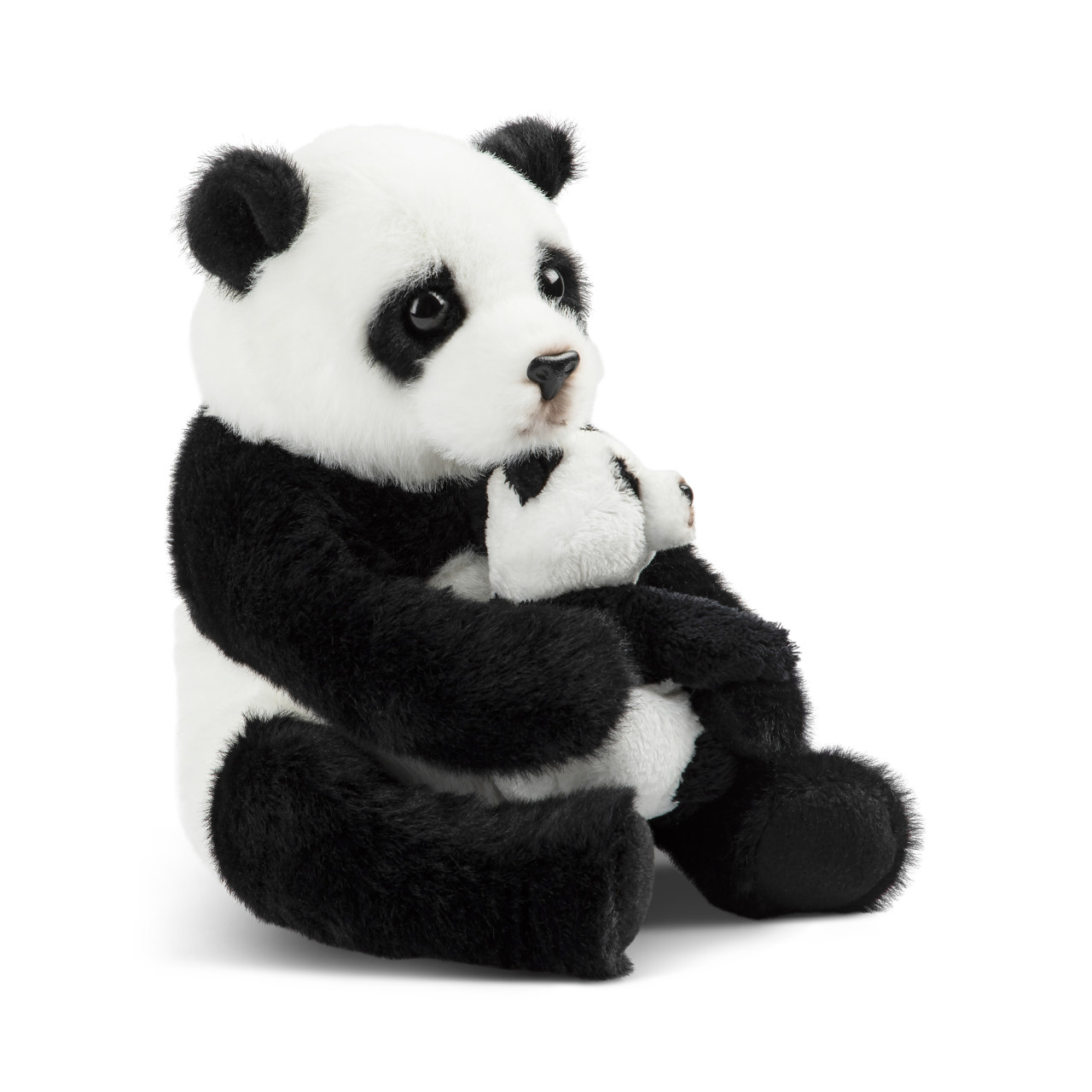 Panda & Baby thumbnail