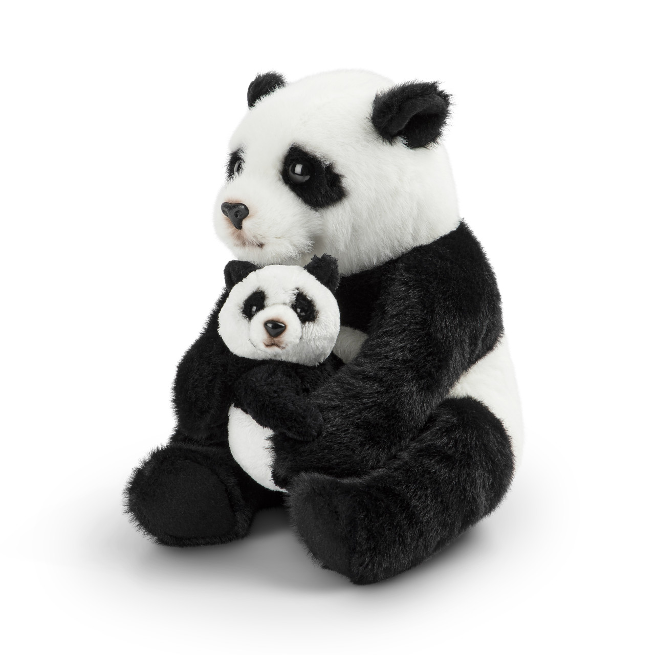 Panda & Baby thumbnail