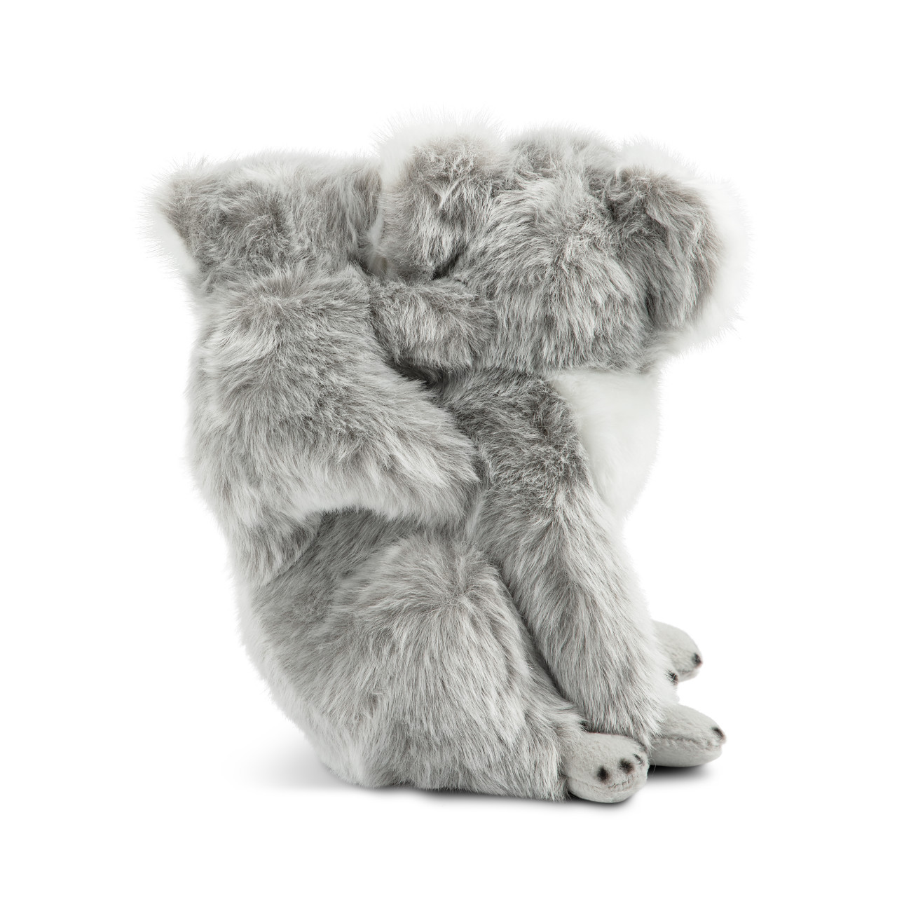 Koala & Baby thumbnail