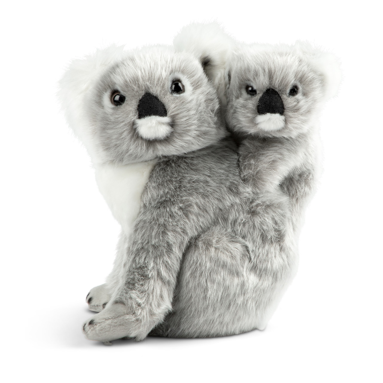 Koala & Baby thumbnail