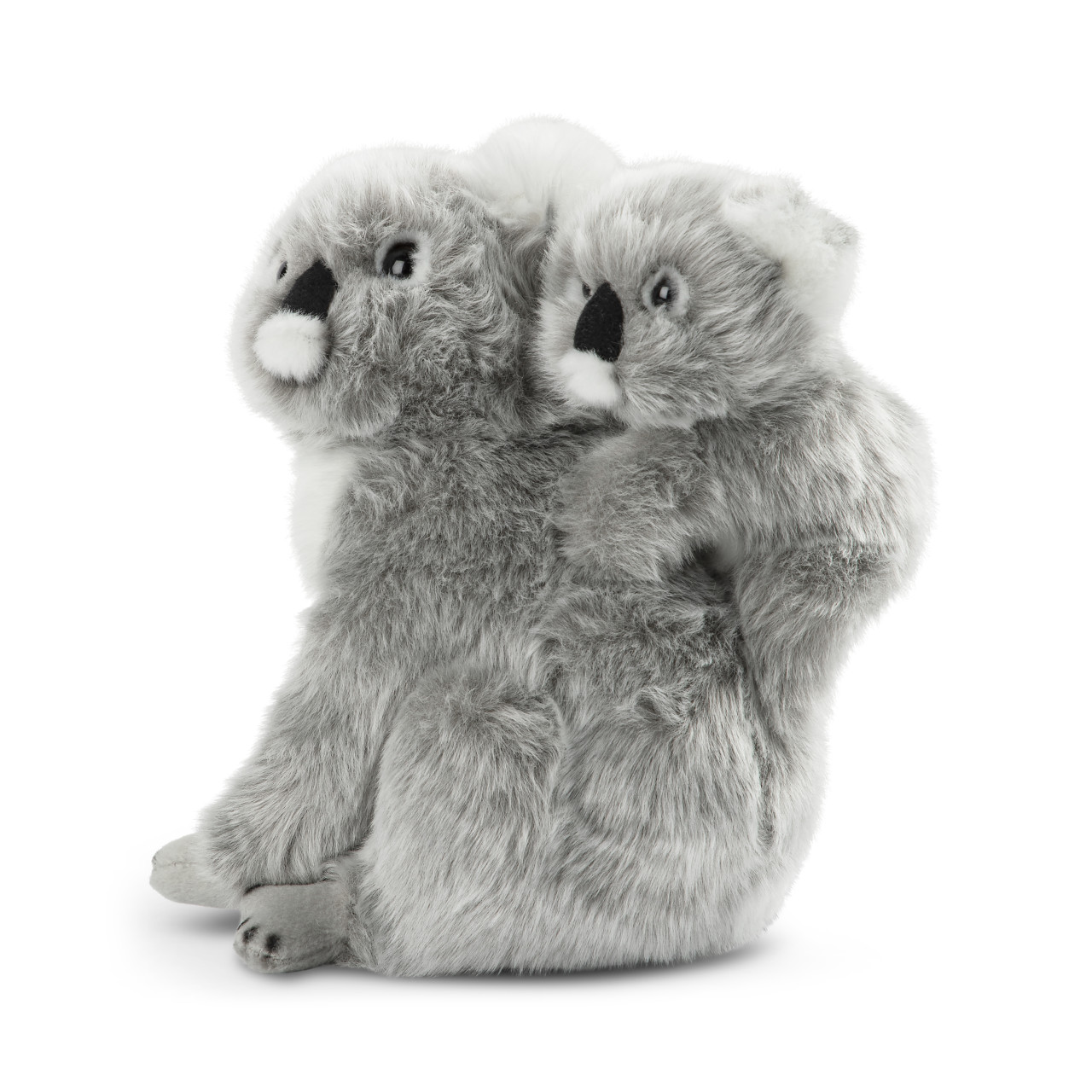 Koala & Baby thumbnail