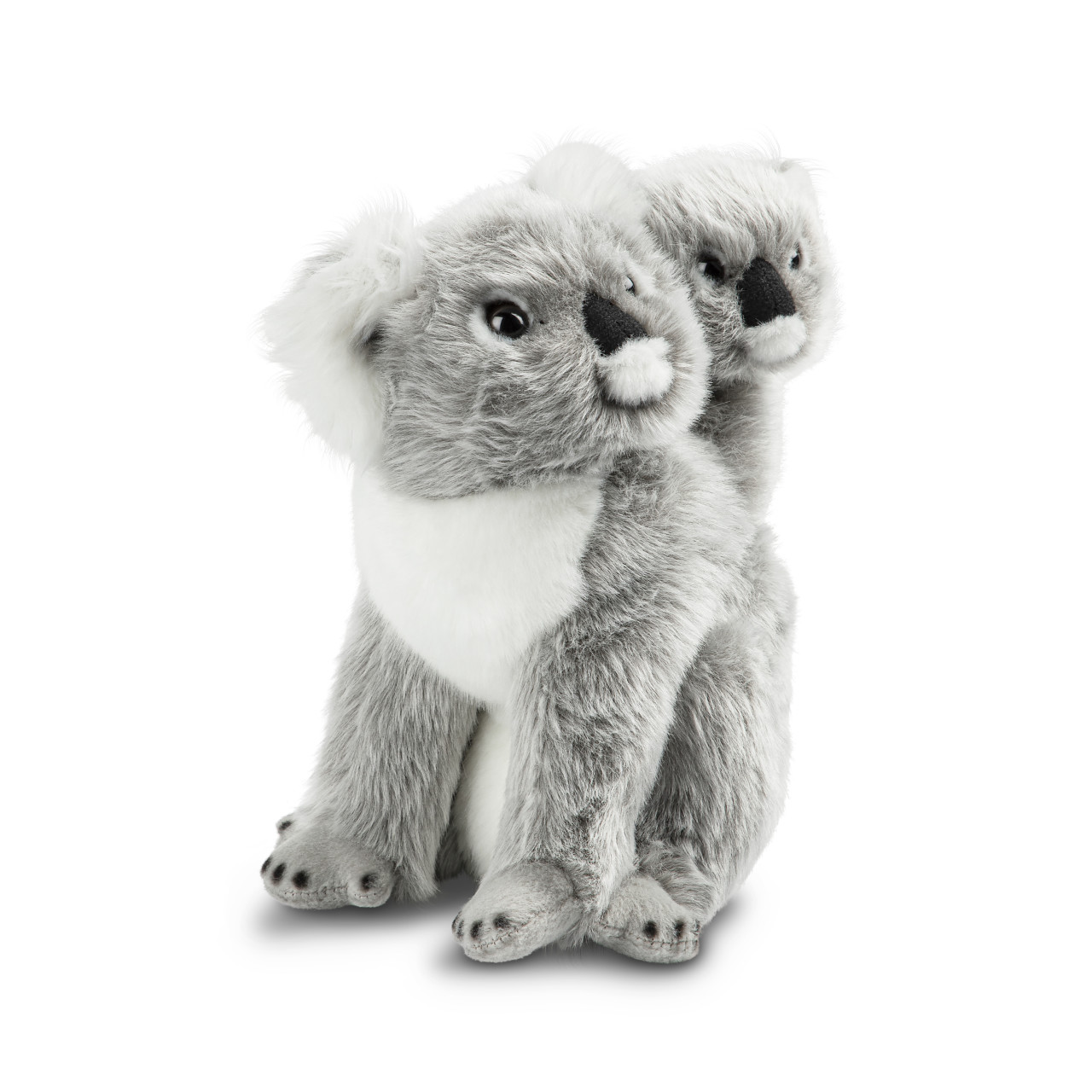 Koala & Baby thumbnail