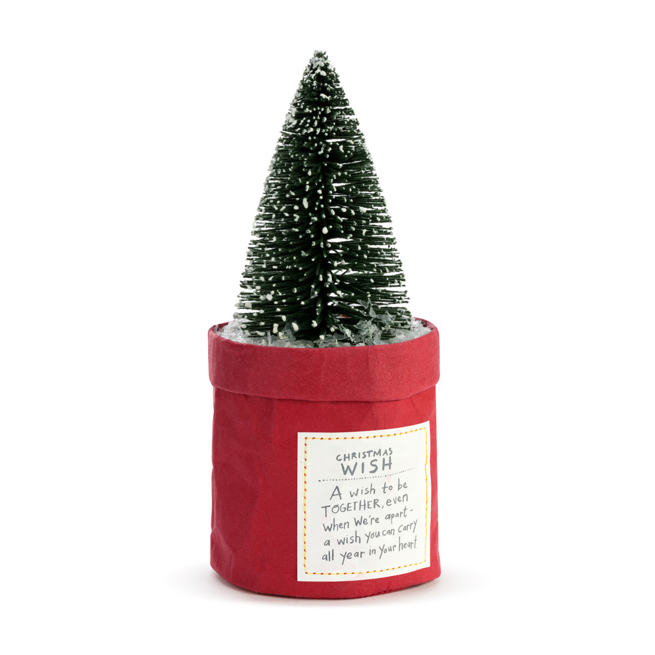 Plant Kindness - Christmas Wish thumbnail