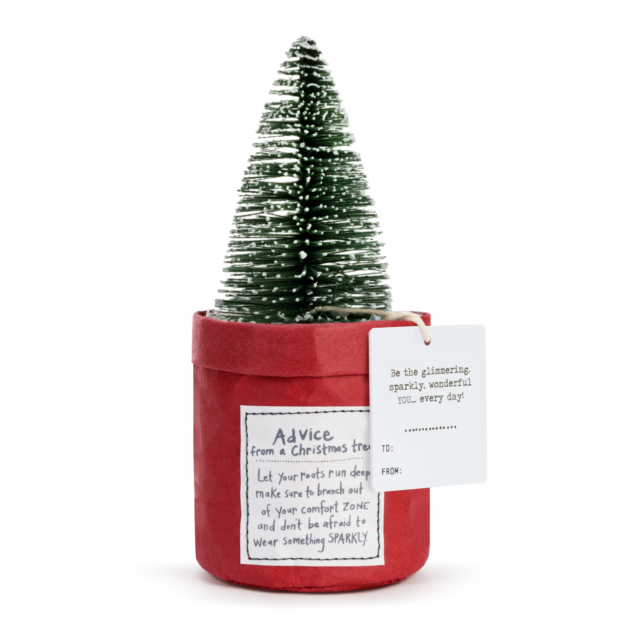 Plant Kindness - Advice from a Christmas Tree thumbnail