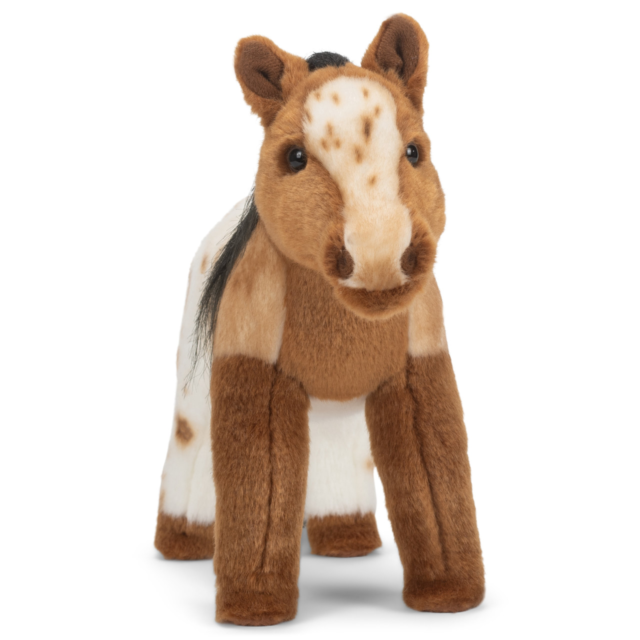 Appaloosa Horse thumbnail