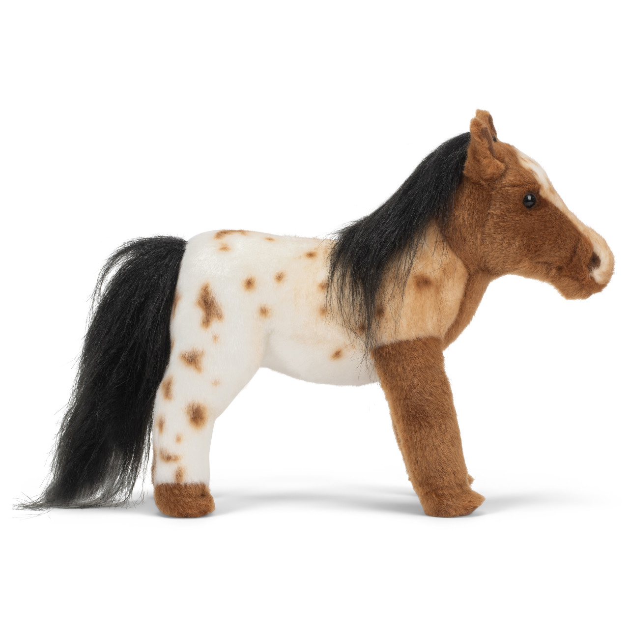 Appaloosa Horse thumbnail