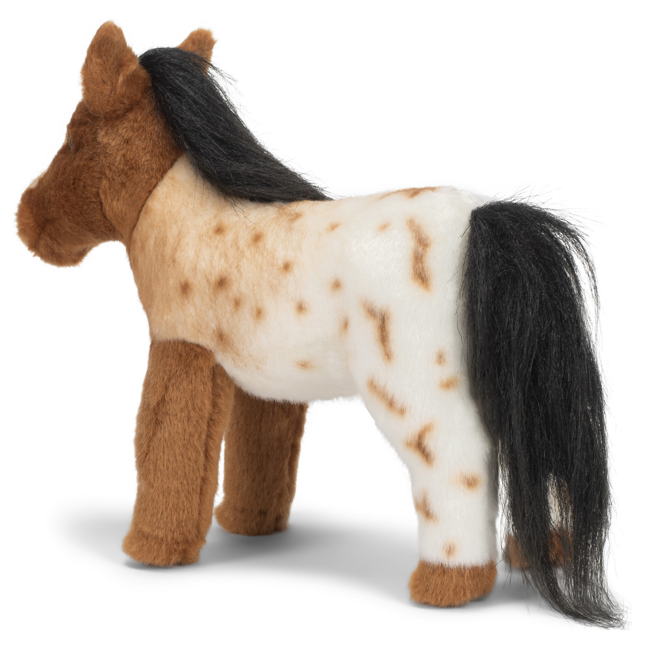 Appaloosa Horse thumbnail