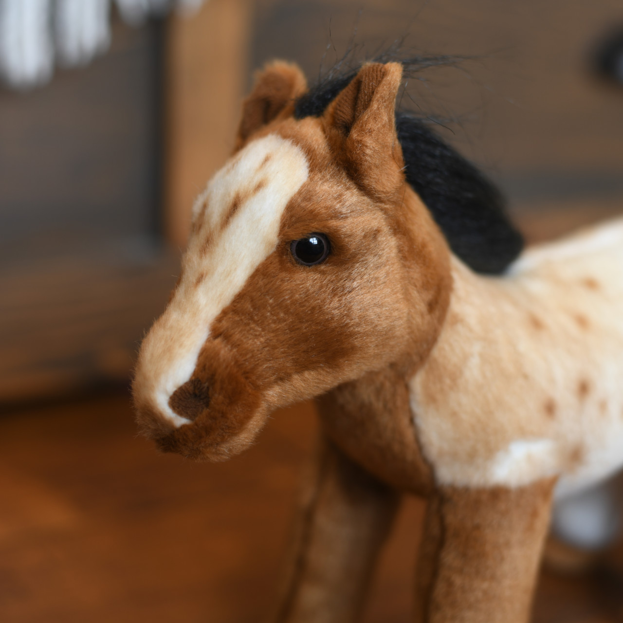 Appaloosa Horse thumbnail