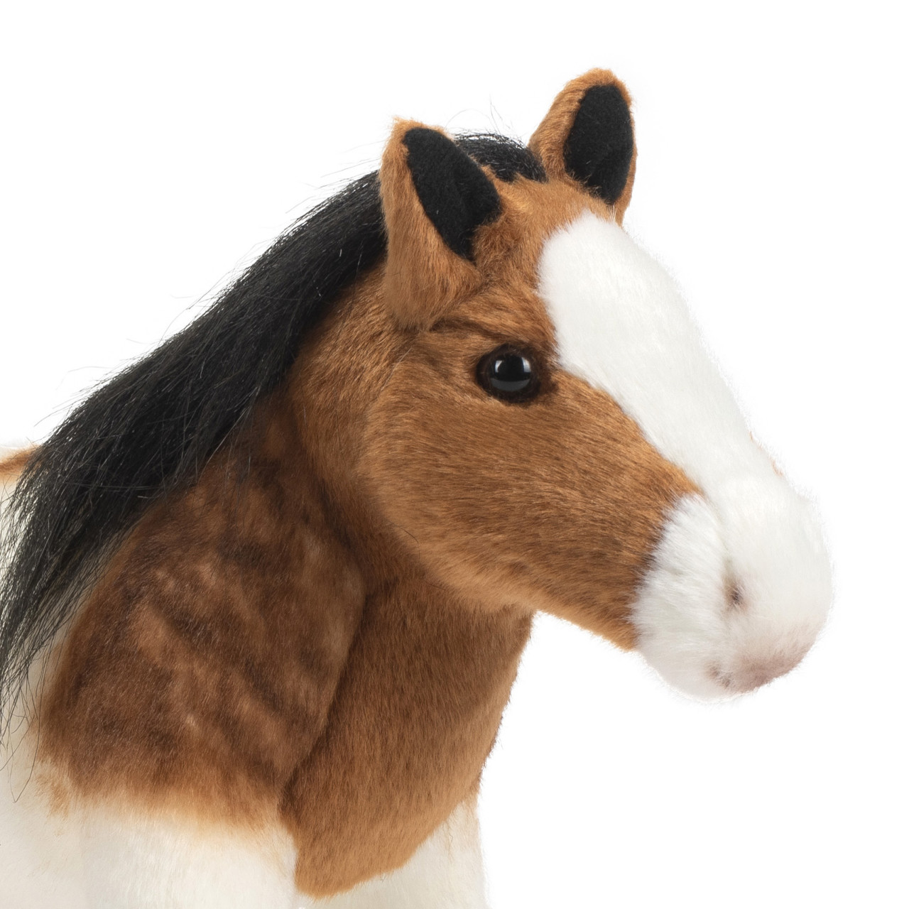 Paint Horse thumbnail