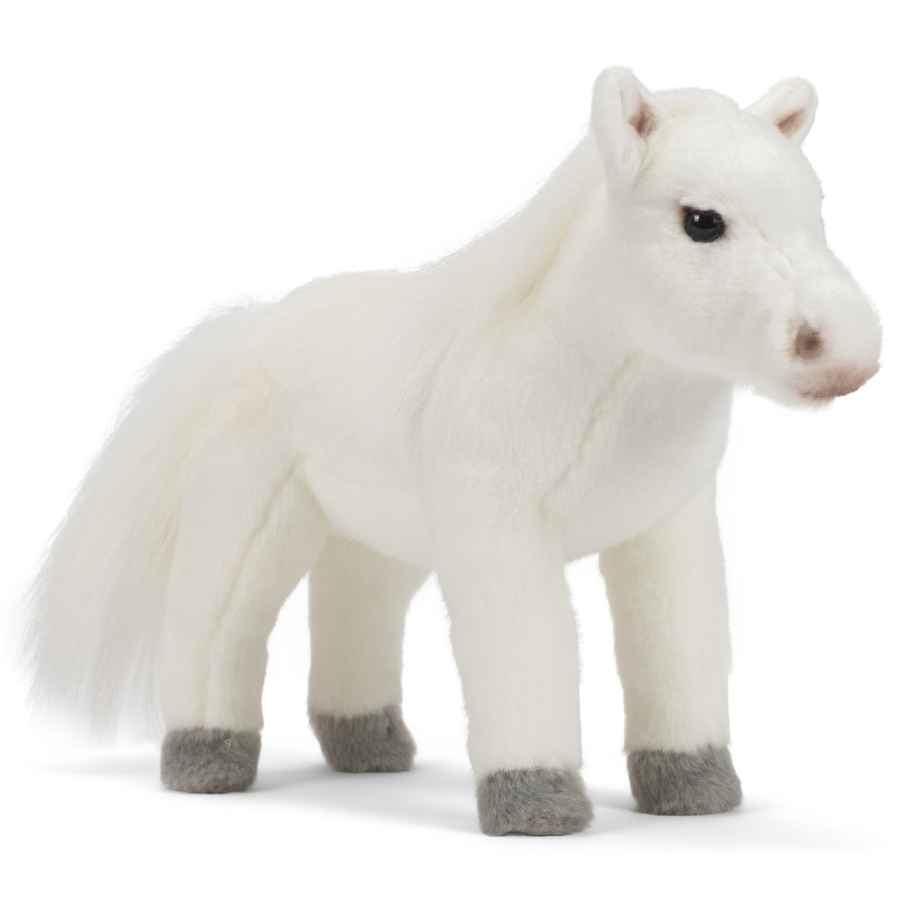 Arabian Horse thumbnail