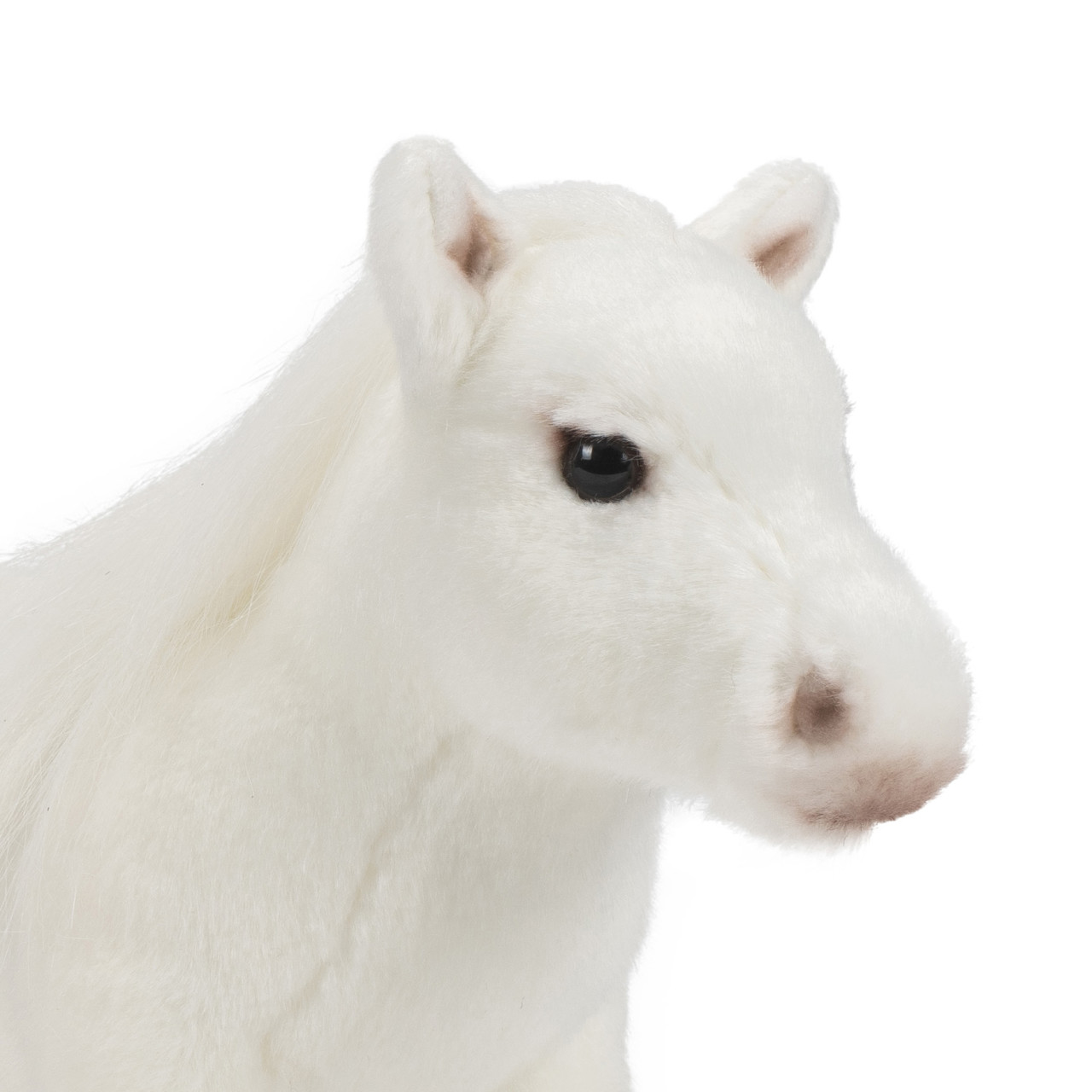 Arabian Horse thumbnail