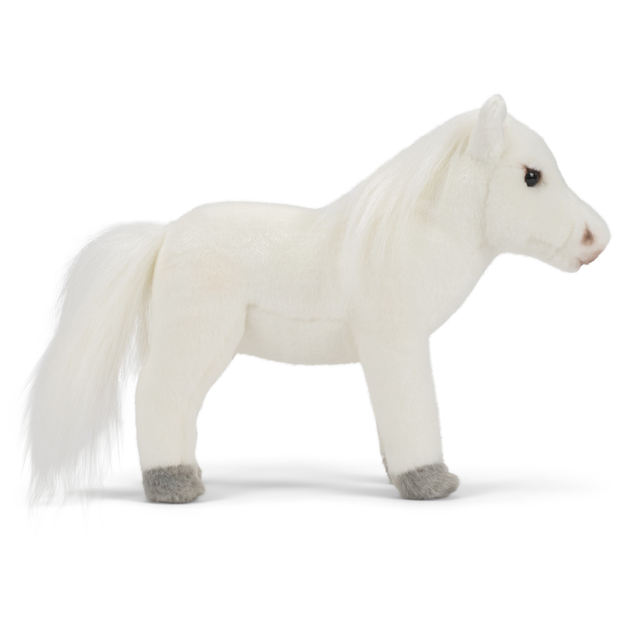 Arabian Horse thumbnail