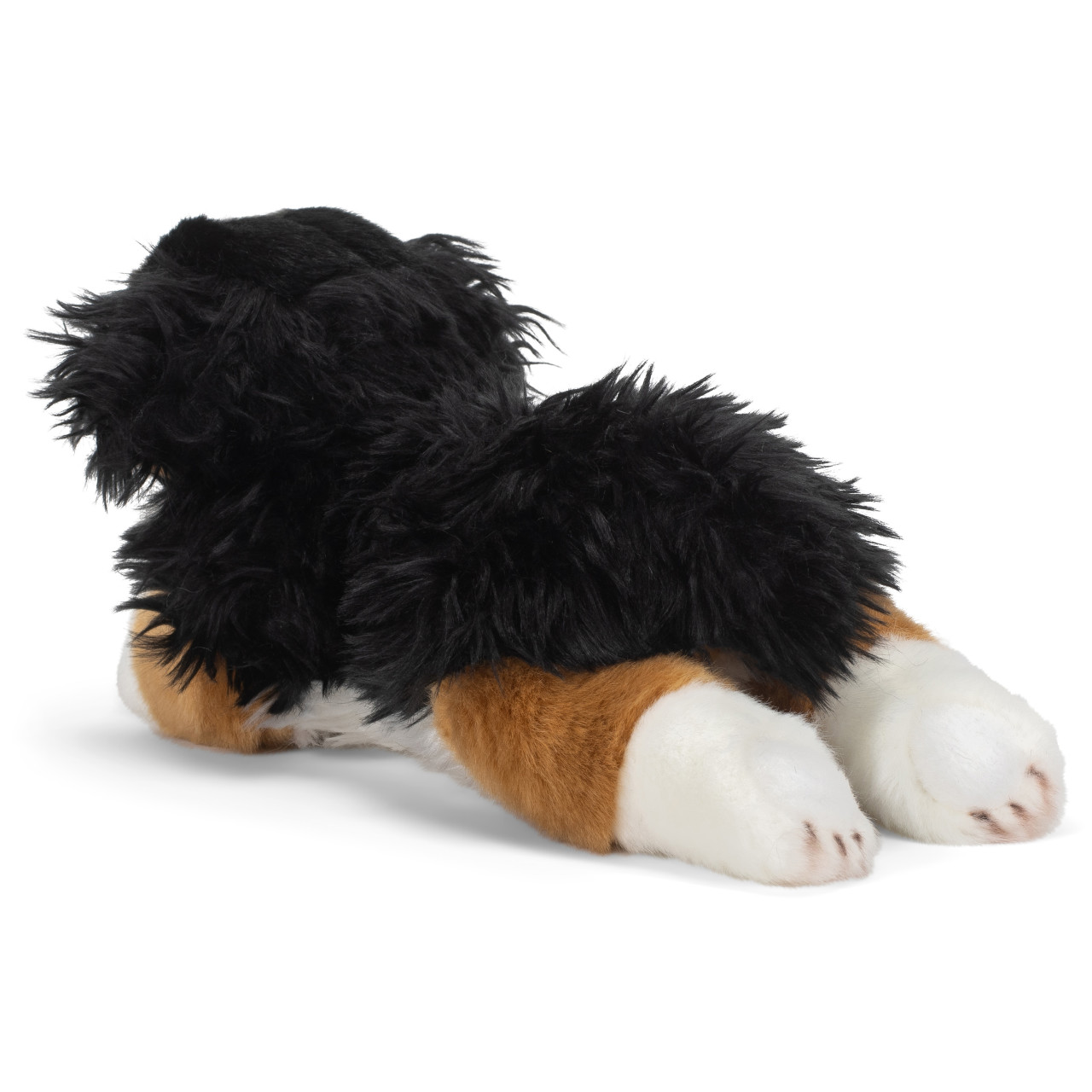 Bernese Mountain Dog thumbnail