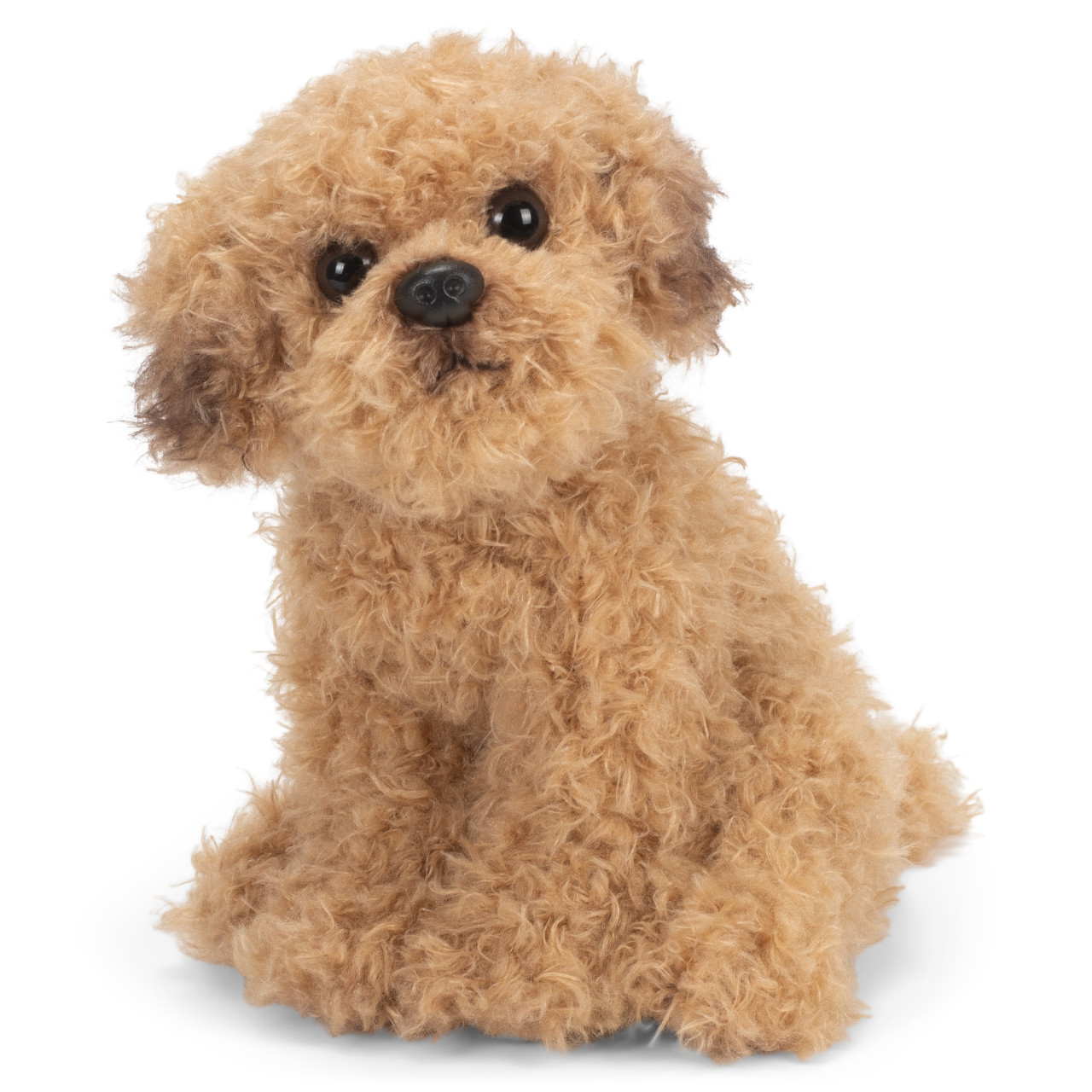 Labradoodle thumbnail