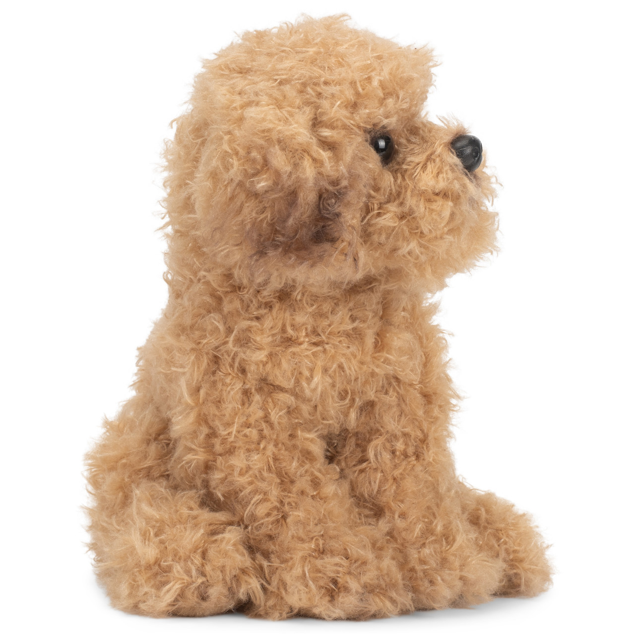 Labradoodle thumbnail