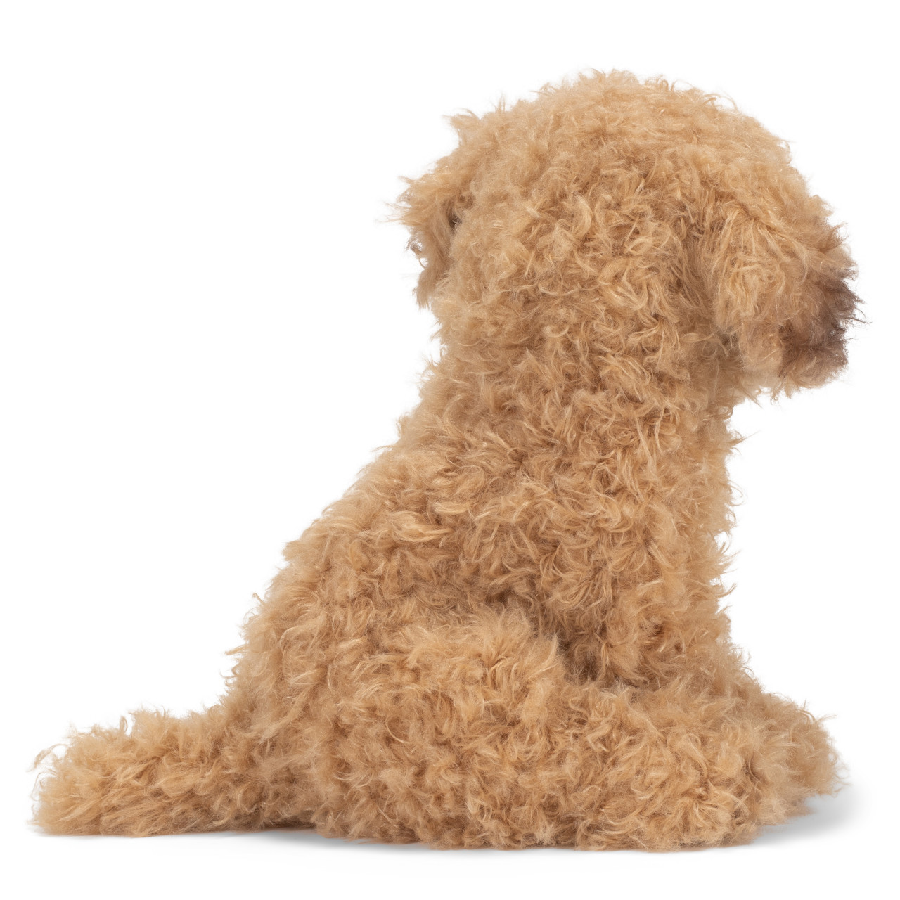 Labradoodle thumbnail