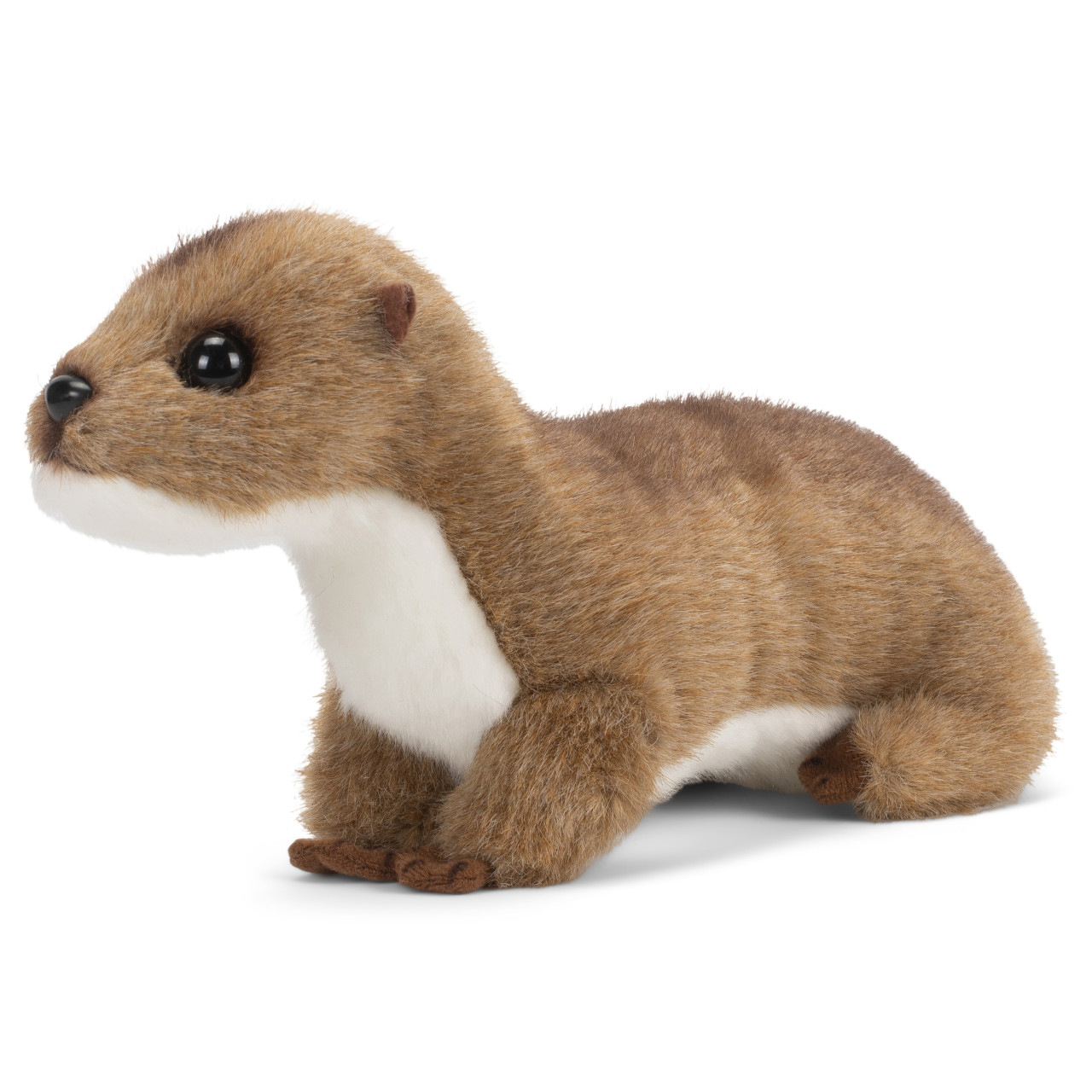 Otter thumbnail