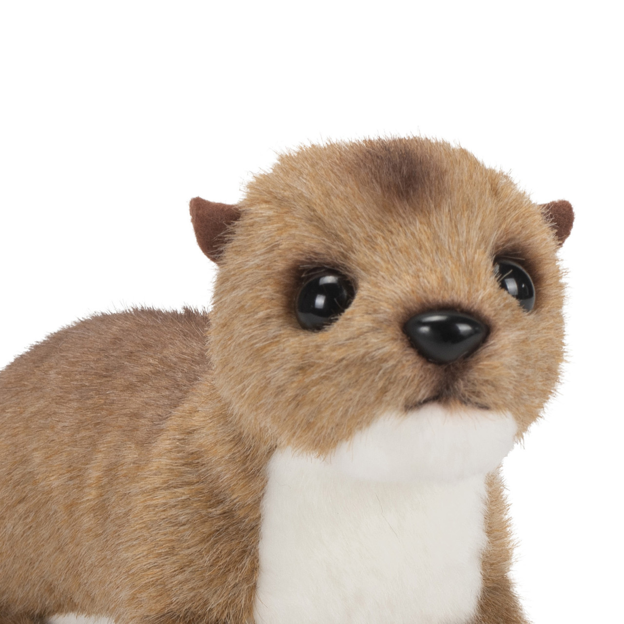 Otter thumbnail