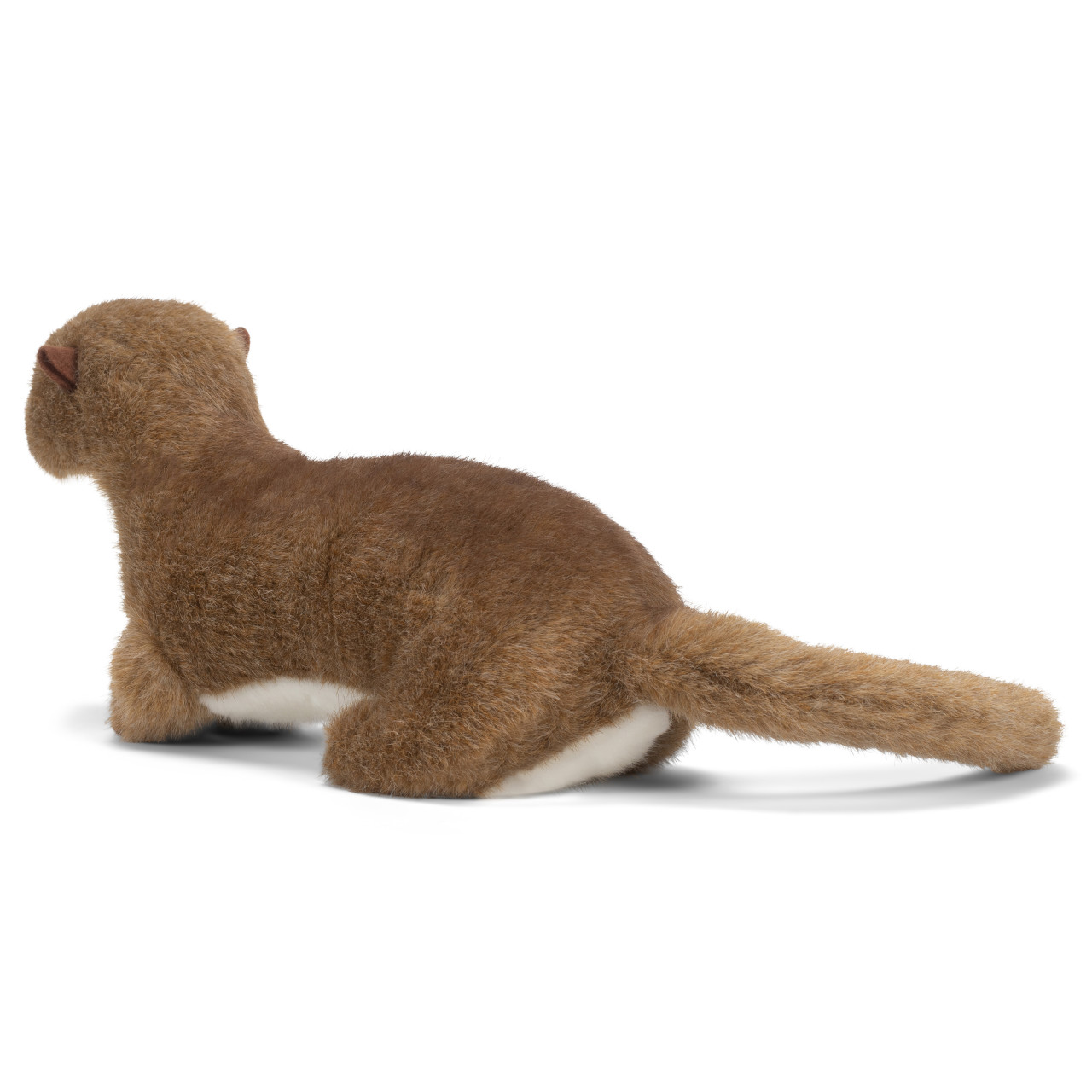 Otter thumbnail