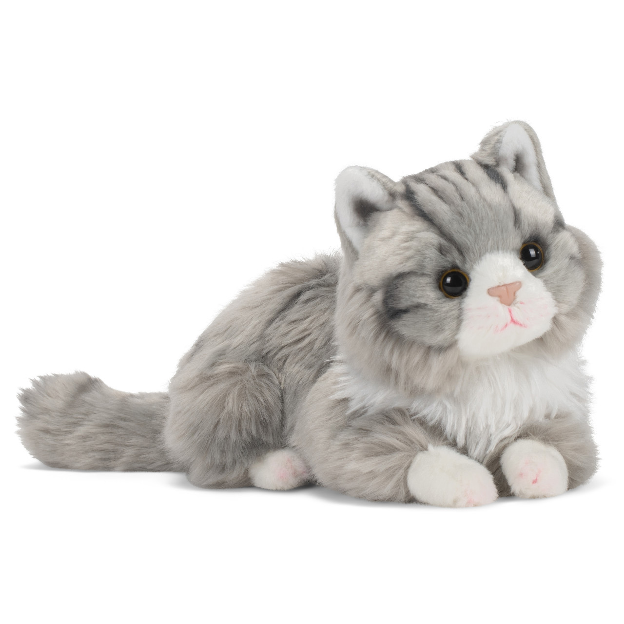 Maine Coon Cat thumbnail