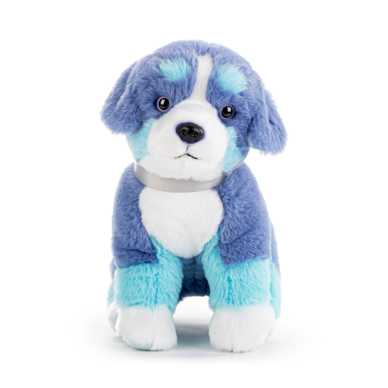 Bernese Mountain Dog Small - Bright Teal thumbnail