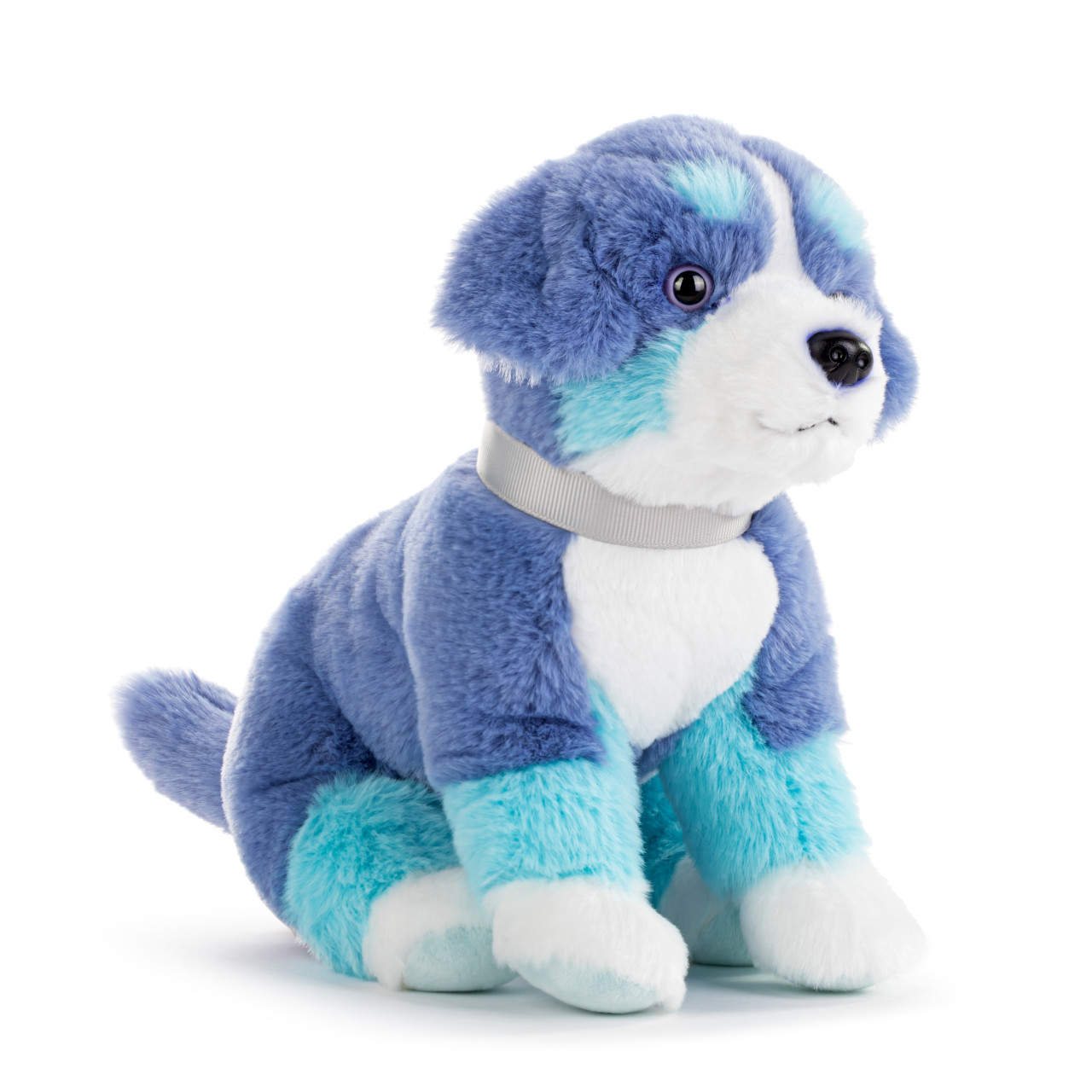 Bernese Mountain Dog Small - Bright Teal thumbnail