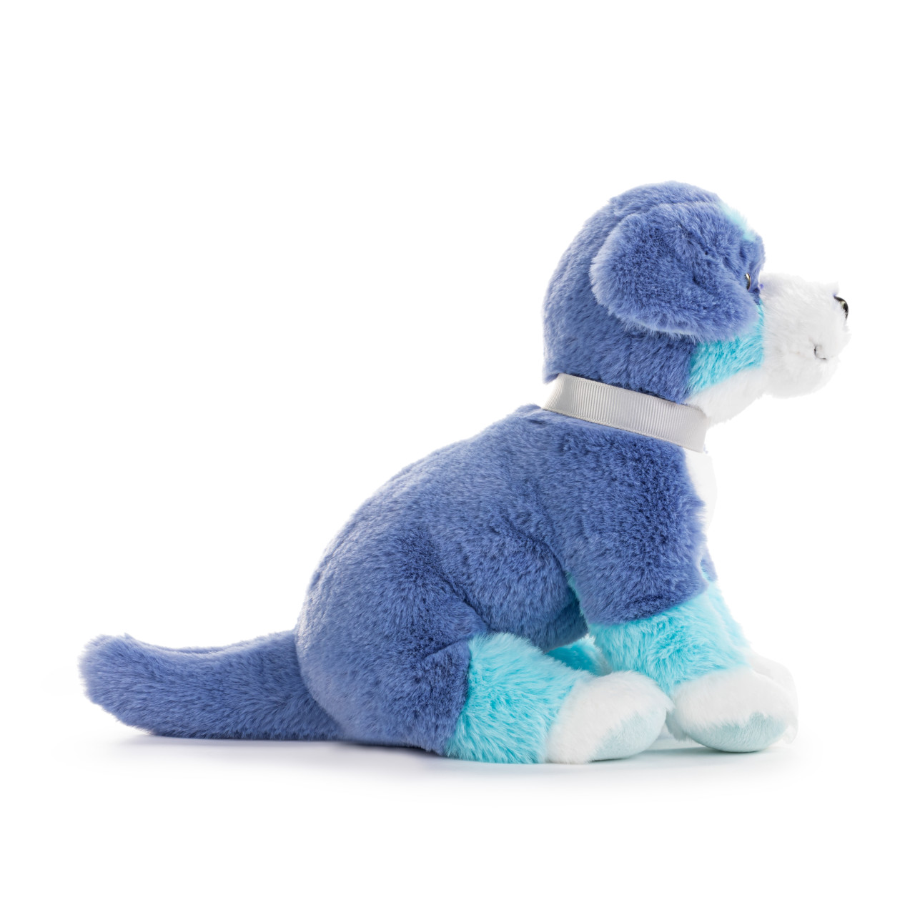 Bernese Mountain Dog Small - Bright Teal thumbnail
