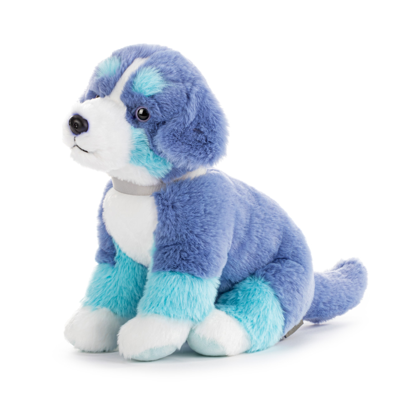 Bernese Mountain Dog Small - Bright Teal thumbnail