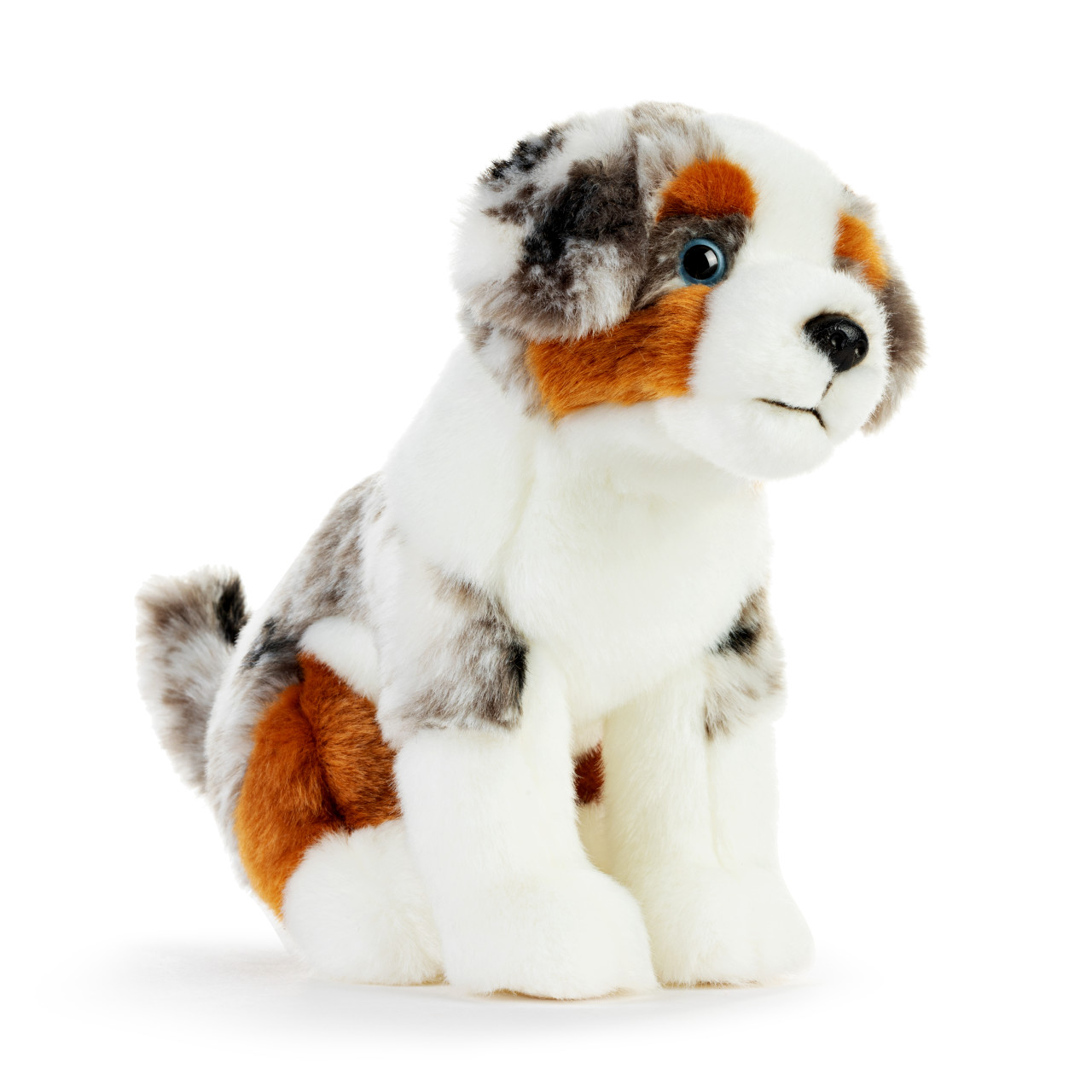 Australian Shepherd Small thumbnail