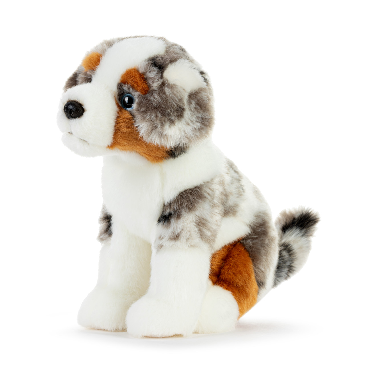 Australian Shepherd Small thumbnail