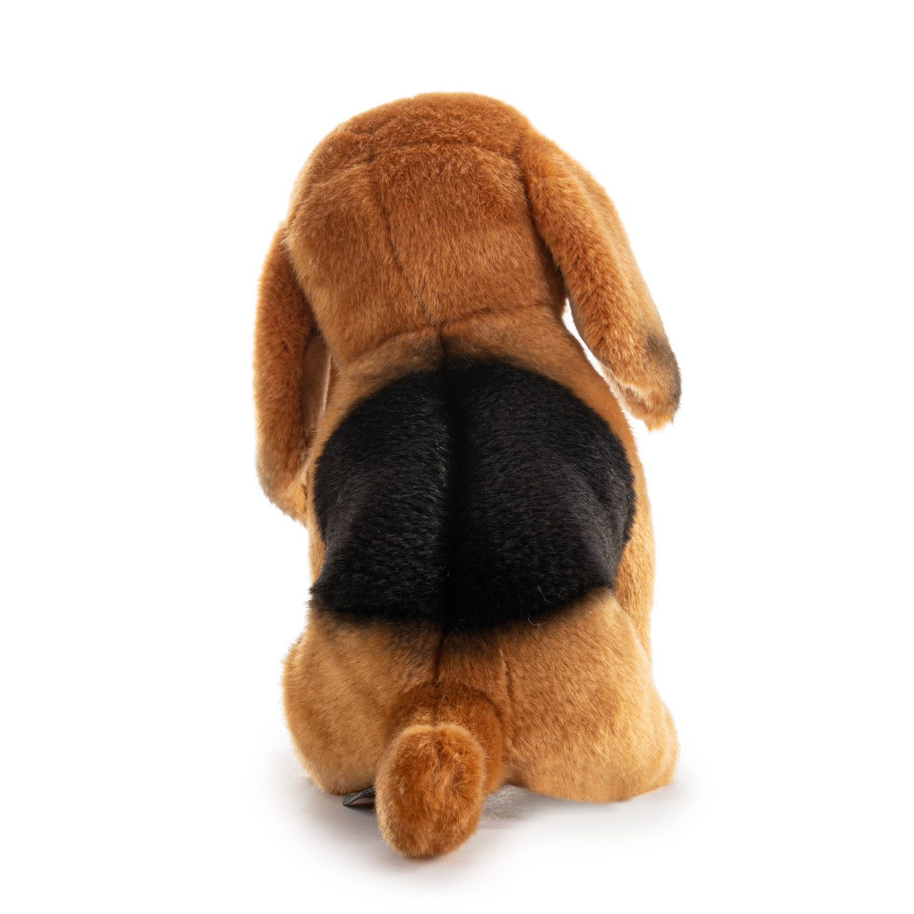 Bloodhound Small thumbnail